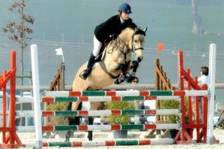 Concours hippique interne Concours hippique interne