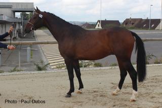 Local des 3 ans Local des 3 ans