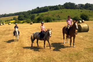 Stages d'équitation