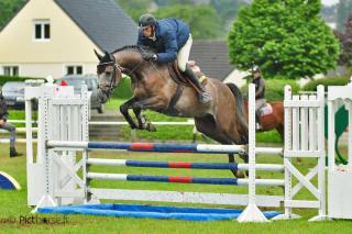 Concours jeunes chevaux Concours jeunes chevaux
