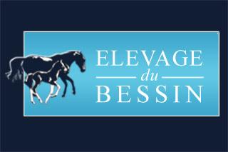 Nouveau site pour les Ecuries du Bessin