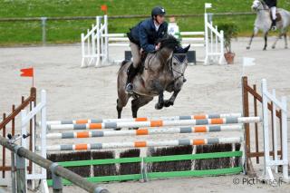 CSO Jeunes chevaux à Saint-Lô