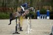 Concours SHF de Auvers Concours SHF de Auvers