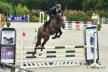 CIR des 4 ans et Jeunes chevaux à Auvers