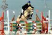Concours hippique interne Concours hippique interne