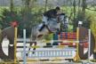 Résultats des jeunes chevaux à Saint-Lô Résultats des jeunes chevaux à Saint-Lô