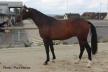 Local des 3 ans Local des 3 ans