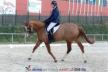 Dressage à Saint-Lo Dressage à Saint-Lo