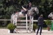 Concours Jeunes Chevaux