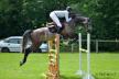 Résultats des jeunes chevaux à Bayeux