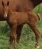 Naissance Naissance