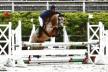 Cycles Classiques Poney Cycles Classiques Poney