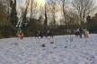 Stages d'equitation vacances de Noel Stages d'equitation vacances de Noel