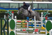 Concours Jeunes Chevaux Concours Jeunes Chevaux