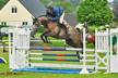 Concours jeunes chevaux Concours jeunes chevaux
