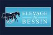 Nouveau site pour les Ecuries du Bessin Nouveau site pour les Ecuries du Bessin