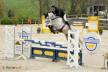 Concours jeunes chevaux d'Auvers