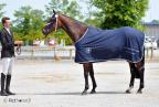 Vanille du Bessin gagne le CIR des 4 ans 2013.