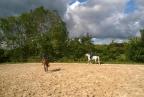 Equipe Russe de Para dressage.