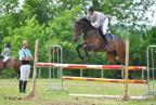 Trocadero du Bessin, hongre par Cardero - © Pict'Horse.fr