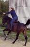 Actvité de tir à l'arc à cheval