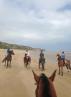 Plage à proximité du club hippique.