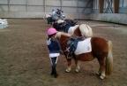 Leçon d'équitation en Normandie.