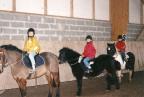 Leçon d'équitation dans le manège.