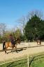 Poney club en Normandie