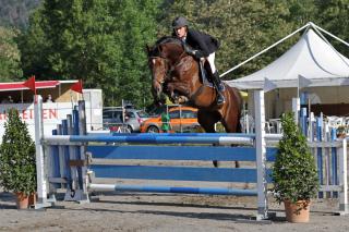 Résultat de Sellia du Bessin en CSI Résultat de Sellia du Bessin en CSI